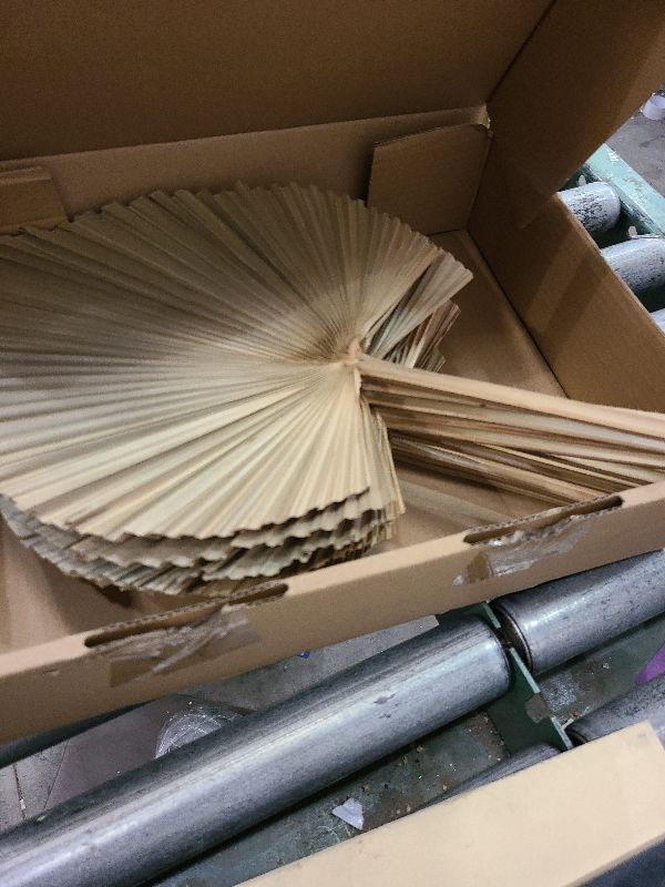 Photo 1 of 10 Pcs Large Dried Palm Leaves Bulk 18 Inch Decor Wedding, Balloon Arch, Party, Vase