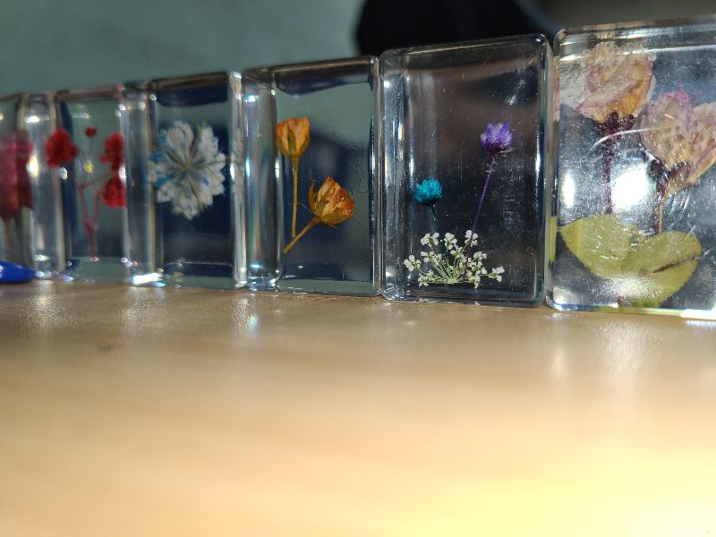 Photo 1 of 6 Pieces Pressed Flower Paperweight Flower in Resin Specimen Collection for Desk Real Flowers Samples Paper Weights Square Paperweight Cube for Kids Scientific Educational Toy, Office Table Decor