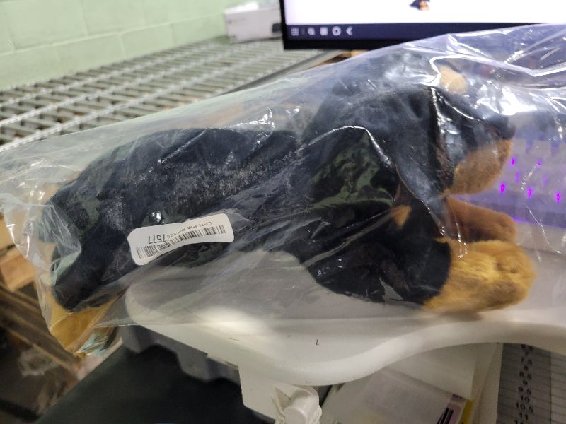 Photo 1 of Bearington Collection Gunner The Rottweiler Stuffed Animal, 15 Inch Dog Stuffed Animal