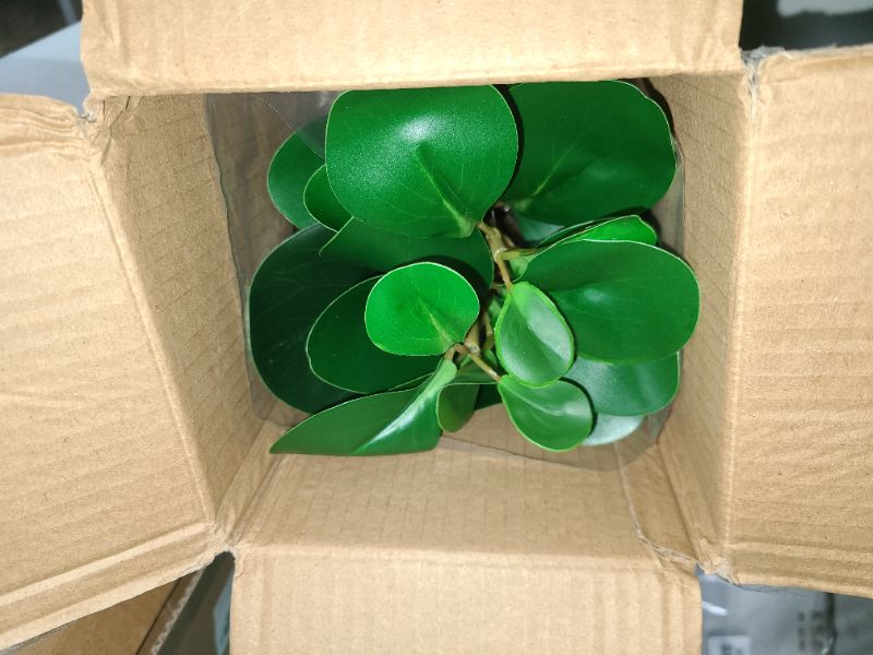 Photo 1 of AlphaAcc Artificial Plants Potted Real Looking Small Faux Plant with Rustic Black Cement Planter for Kitchen Office Desk Bookshelf Decor (Ficus Plant)