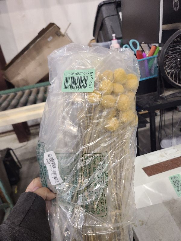 Photo 1 of Uieke 120pcs Dried Yellow Billy Balls Flowers for Floral Arrangements, Wedding Decor, Tall Vase Filler, Indoor Use