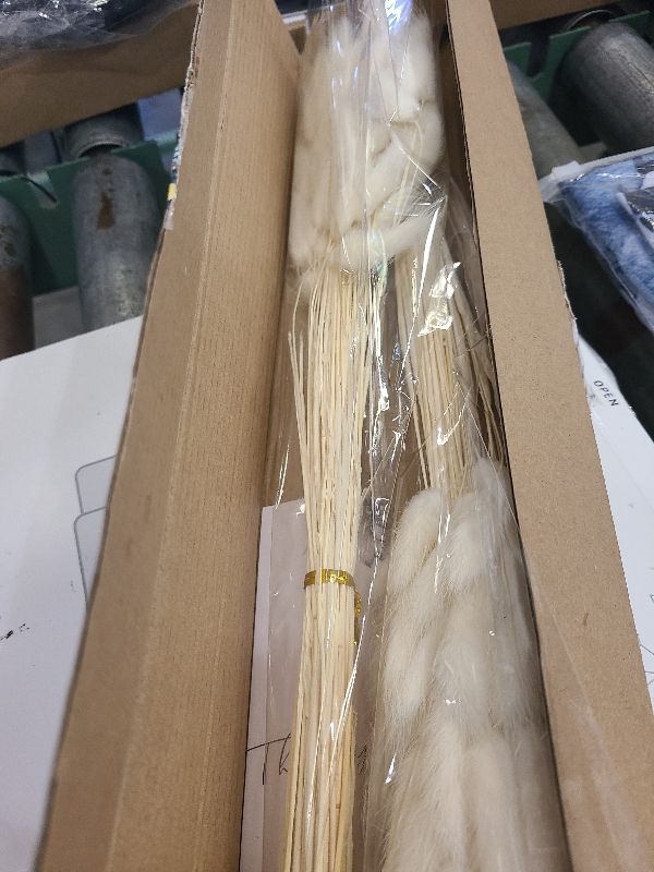 Photo 1 of 120 PCS White Dried Pampas Grass Decor, 17-inch Pompas Floral, Dry Flowers for Decoration, Pampas Grass in Bulk Tall, White Bunny Tails Dried Flowers for Boho Wedding