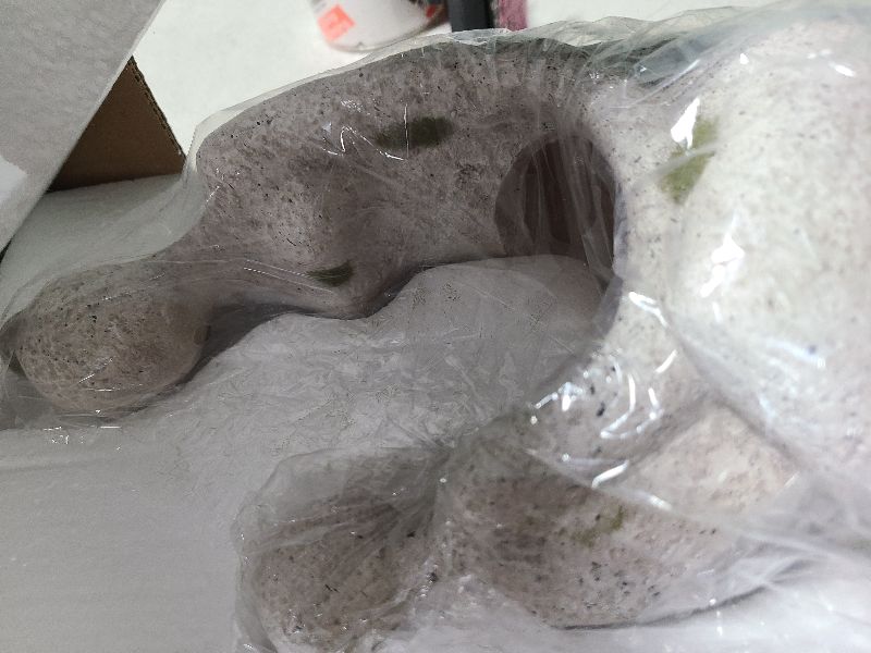 Photo 1 of Aclema Unique Planters for Indoor Outdoor Plants Head Face Planter Pot Large Succulent Planters Flower Vase with Drainage Hole Grandmas Love