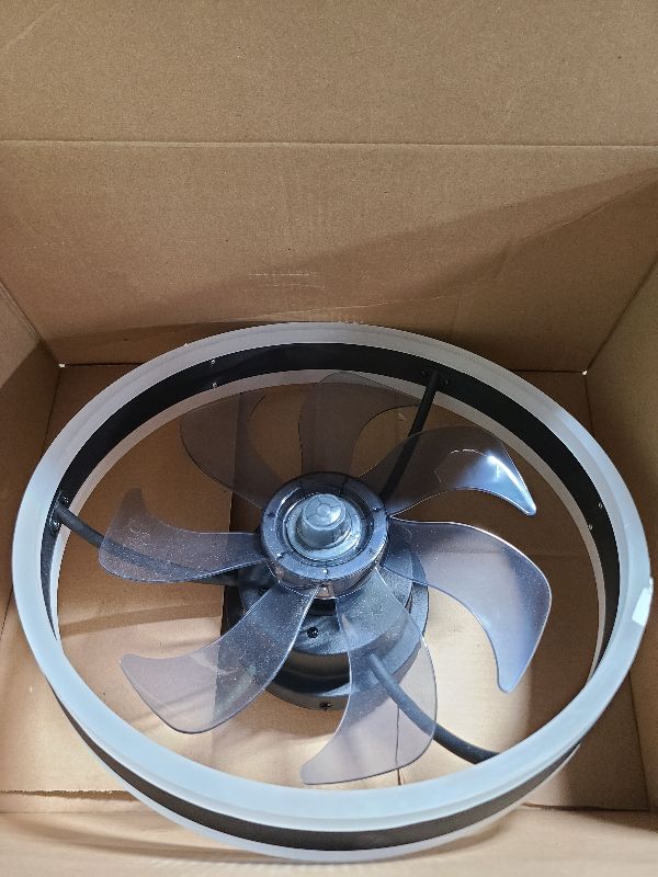 Photo 1 of 
Visit the Store, DOURARY
DOURARY
Visit the Store
4.5
4.5 out of 5 stars
(76)
Flush Mount Ceiling Fans with Lights and Remote, Minimalist 20 in Dimmable Low Profile Ceiling Fan, Match Any Interior, Stepless Color Temperature Change, and 6 Speeds - Black 