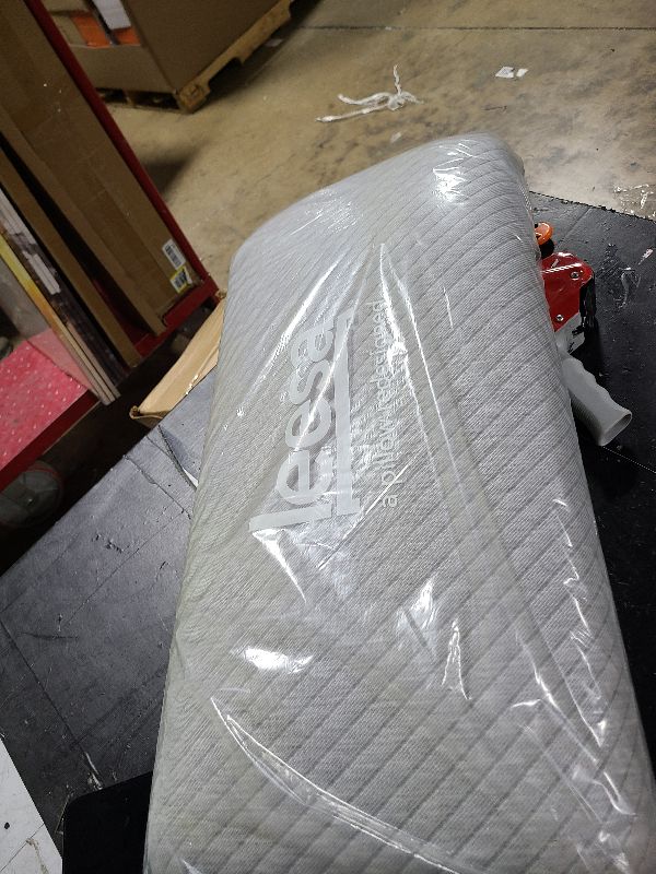 Photo 1 of 
Visit the Store, Leesa
Leesa
Visit the Store
2.8
2.8 out of 5 stars
(10)
Leesa Ultra Cool Memory Foam Pillow, Queen, White
