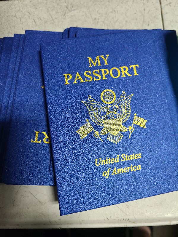 Photo 1 of 15 Pcs Fake Passport Book for Kids with 150 Non-Repeating Stickers (Including 3 Themes), Suitable for Party Favors, Scrapbooking, Arts and Crafts, School Supplies, Wall Stickers
