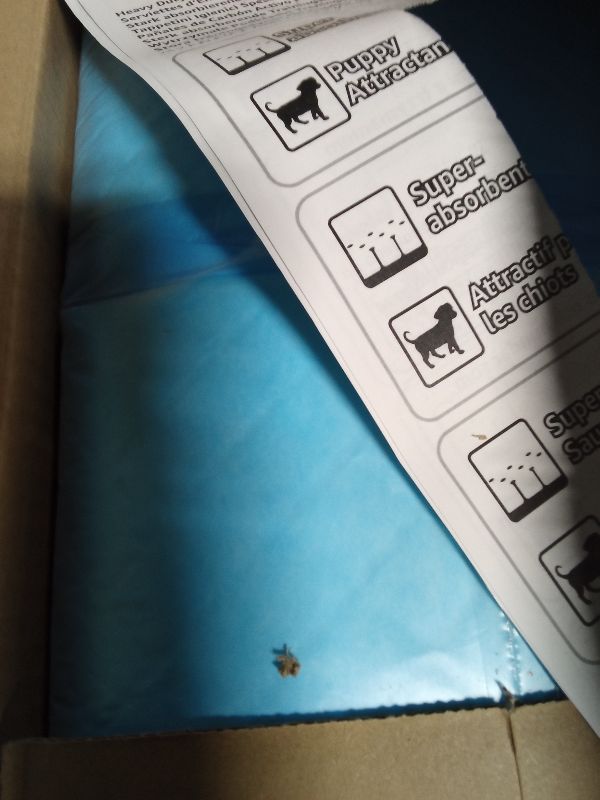 Photo 1 of Amazon Basics Dog and Puppy Pads