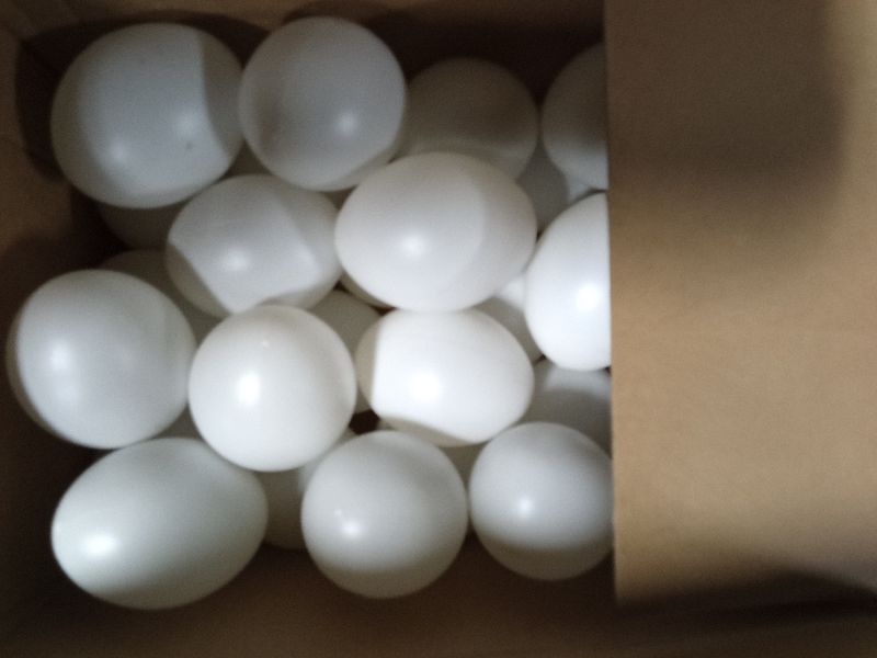 Photo 1 of 30 Pcs Plastic White Fake Eggs,Easter Eggs,Realistic White Eggs,Faux Fake Egg for DIY Crafts,Painting,Party,Home Decor,Kids,Kitchen