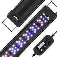 Photo 1 of 
MingDak LED Aquarium Fish Tank Light Fixture, Full Spectrum Lighting for Freshwater Planted Aquariums, Slim & Thin Aluminum Housing, Extendable Brackets, Fit 30" to 36" Fish Tank Model MDGLSD08-24S