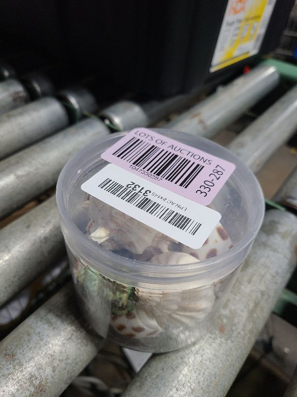 Photo 1 of 15PCS Hermit Crab Shells (7 Types) Natural Hermit Crab Shells, for Small to Large Hermit Crab Turbo Shells Hermit Crab Supplies