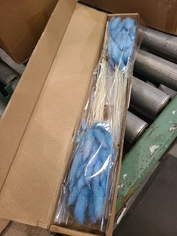 Photo 1 of 120 PCS Blue Dried Pampas Grass Decor, 17-inch Pompas Floral, Dry Flowers for Decoration, Pampas Grass in Bulk Tall, Blue Bunny Tails Dried Flowers for Boho Wedding Decor