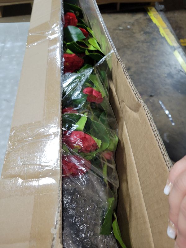 Photo 1 of  3.6FT Artificial Camellia Fake Tree, Artificial Plants & Flowers with 32 Red Flowers for Door Front Decoration Porch Patio Living Room Office Indoor Outdoor Decor (2PCS Contains Dried Moss) 