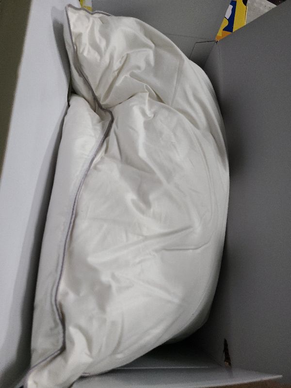 Photo 1 of 
Visit the Store, finbuco
finbuco
Visit the Store
4.3
4.3 out of 5 stars
(516)
Natural Goose Down Pillows: Luxury Hotel Bed Pillow with 750 Fill Power, White Goose Down Sleeping Pillow with Pillowcase, Soft Pillow for Back, Side, Stomach Sleepers - 1 Pack
