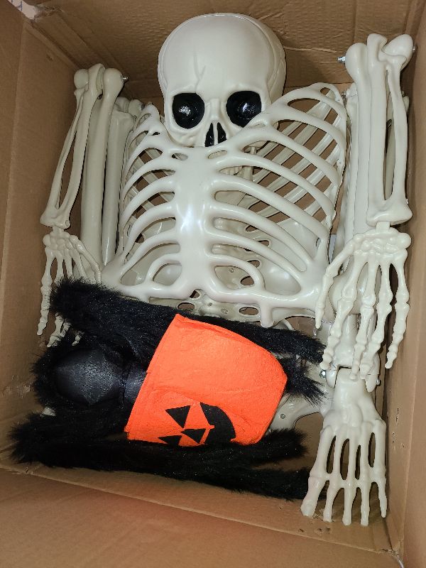 Photo 1 of 5.4ft/165cm Halloween Skeleton, Life Size Skeleton with Spider Pumpkin Bag, Full Body Human Bones with Movable Joints for Halloween Indoor Outdoor Haunted House Decorations