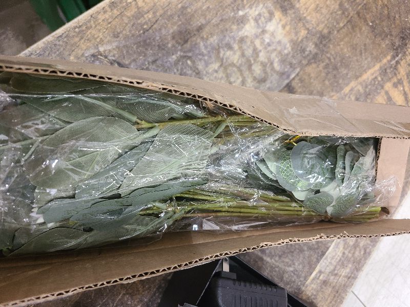 Photo 1 of 120 Pcs 4 Kinds Mixed Artificial Eucalyptus Leaves Stems Bulk Fake Silver Dollar Eucalyptus Bundle Faux Plants Greenery for DIY Bouquets Floral Arrangement Wedding Engagement Party Decor (Green)
