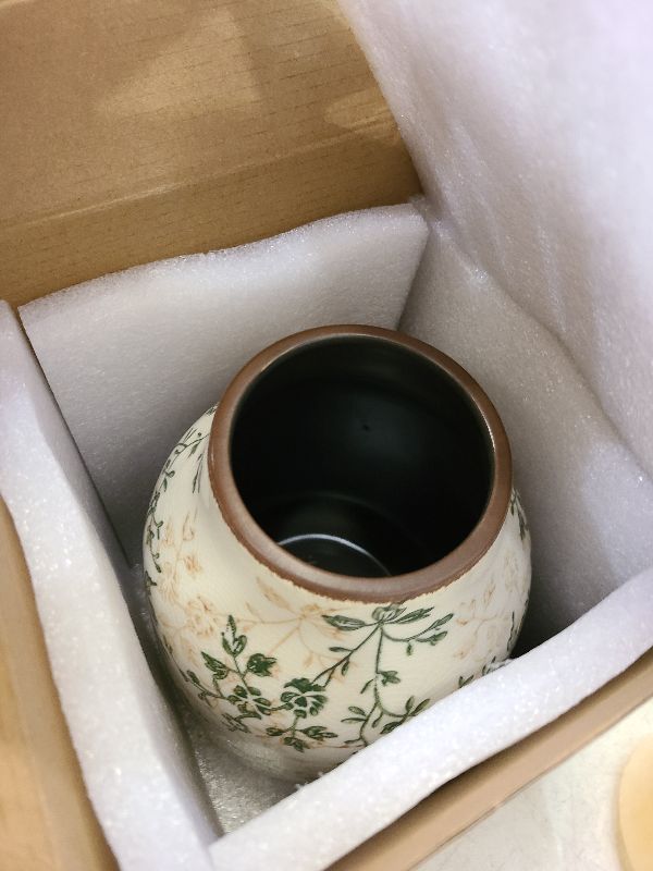 Photo 1 of Vintage Green Ceramic Decorative Floral Vase for Flower Bouquet centerpieces Beige Ice Glazed Crack Farmhouse Rustic for Home Decor, Living Room, Shelf, Office, Table 7.7 Inches with Vine Pattern