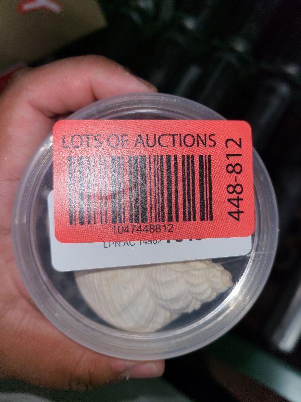 Photo 1 of 12PCS Hermit Crab Shells | Natural Sea Conch Size 1.6"-3.2" | Growth Turbo for Small to Medium and Large Crabs, Saltwater Hermit Crab Supplies and Sea Shell for Beach Decor
