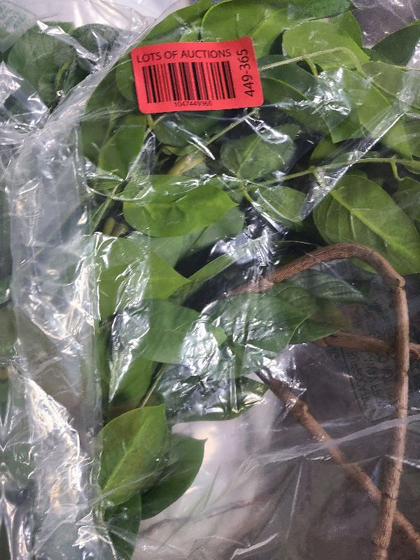 Photo 1 of 12PCS Ficus Leaves Artificial Branches 24" Faux Ficus Greenery Tree Branches Fake Ficus Leaves Sprays for Tree DIY Arch Wedding Wall Decor - Green