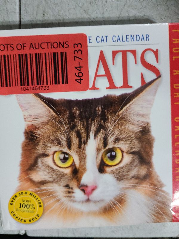 Photo 1 of 365 Cats Page-A-Day Calendar 2022: The World's Favorite Cat Calendar