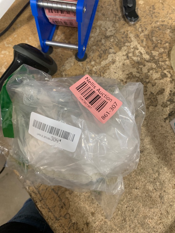 Photo 1 of GREENIC Sea Shell Night Light for Beach Ocean Decor, AAA Battery Operated LED Lamp with Timing Function, Warm White