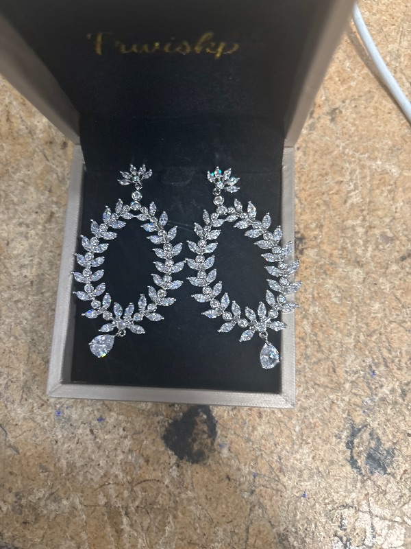 Photo 1 of  dangly frwiskp earrings