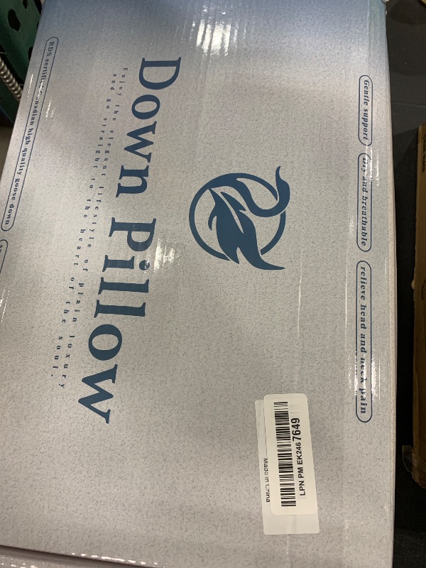 Photo 1 of LIANLAM Luxury Canadian White Goose Down Pillow Set of 2 -(2 Pack, 20"x28")