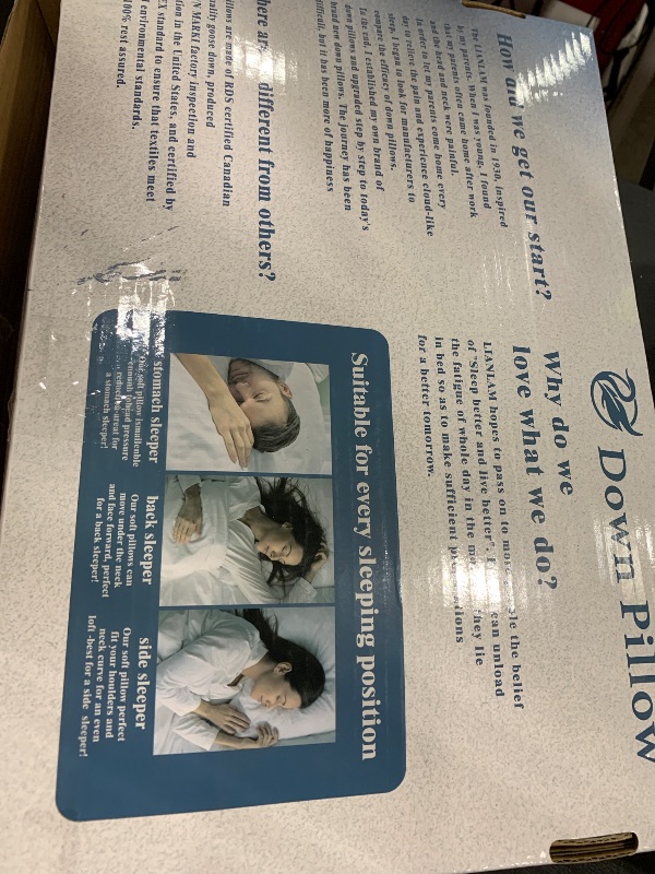 Photo 1 of LIANLAM Luxury Canadian White Goose Down Pillow Set of 2 -(2 Pack, 20"x28")