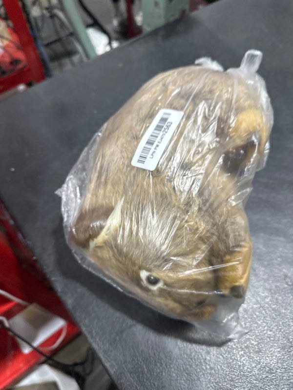 Photo 1 of Frankiezhou Home Lifelike 12' Wombat Stuffed Animal, Soft Crawling Wombat Plush Toy, Unique Plushie Model Doll for Kids