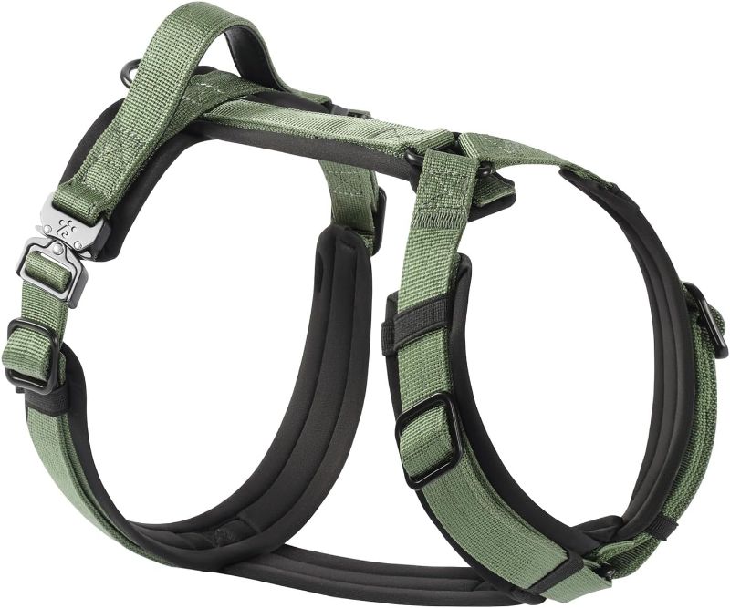 Photo 1 of PawsPassion Dog Harness for Large Dogs, No Pull Dog Harness Easy Walk with Metal Hardware, Ergonomic Y-Shaped Design, Soft Padding, Padded Handle, Durable High-Tensile Nylon (Evergreen, L)