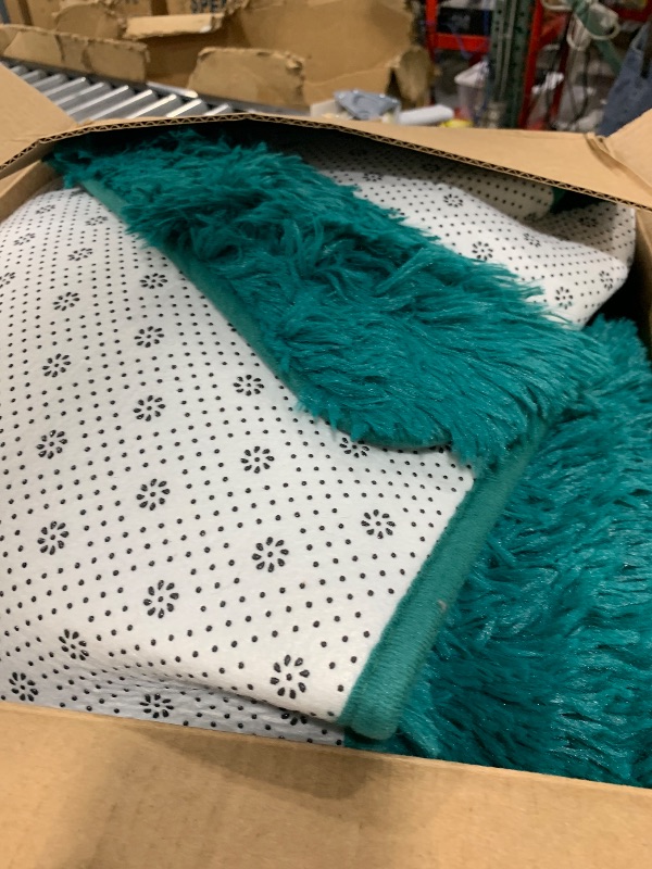 Photo 1 of BENRON Fluffy Rugs for Living Room 6x9 Teal Green, Washable Large Area Rugs for Bedroom Dining Table Office Kids Nursery Room, Washable Indoor Floor Carpets