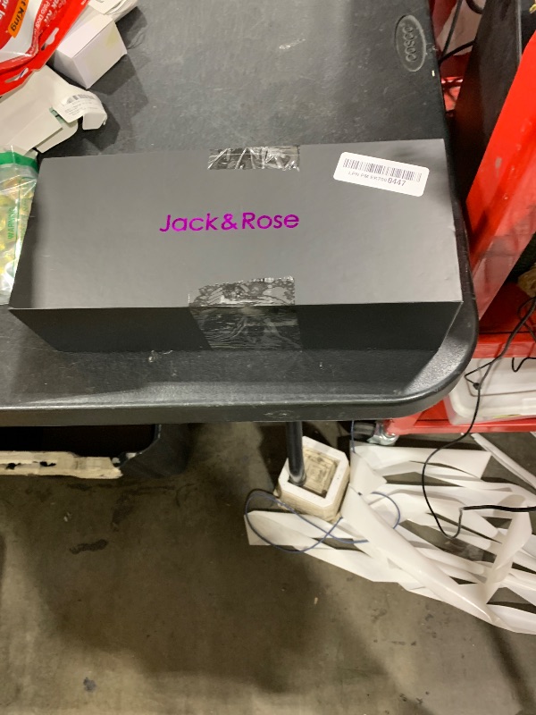 Photo 1 of Jack ? Rose Travel Steamer for Clothes,100-220V Portable Steamer,15s Heat Up,Steamer ? Iron 2 In 1, Travel Size Garment Steamer,Large Ceramic Heat Panel,for Global ? Europe Traveling