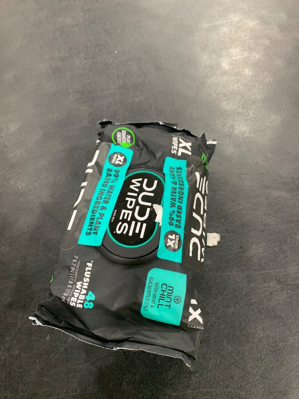 Photo 1 of DUDE Wipes - Flushable Wipes - 3 Pack, 144 Wipes - Mint Chill Extra-Large Adult Wet Wipes - Vitamin-E, Aloe, Eucalyptus & Tea Tree Oils - Septic and Sewer Safe