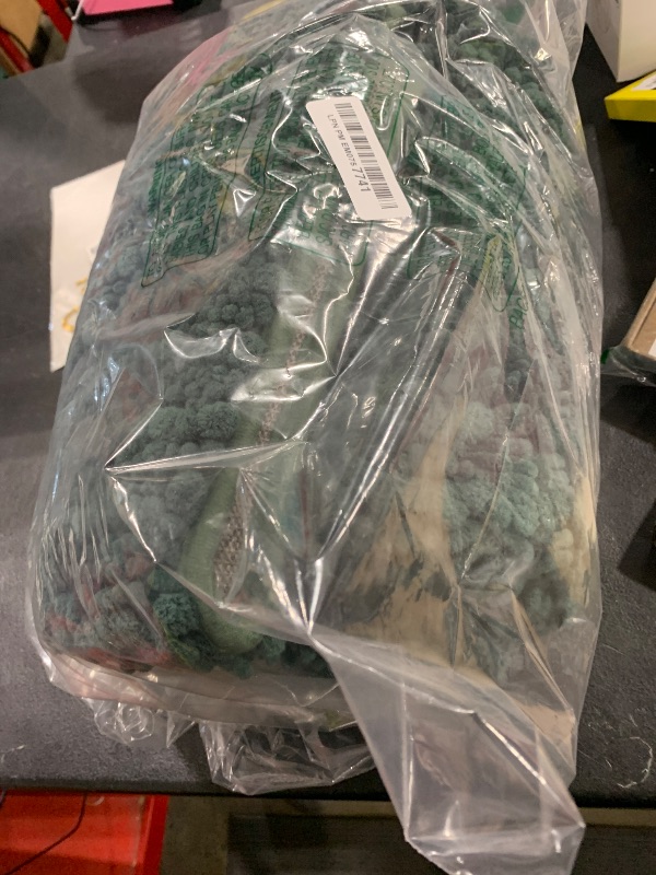 Photo 1 of GREEN RUG