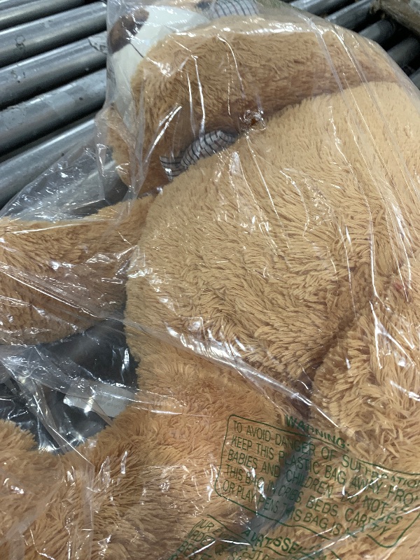 Photo 1 of LARGE TEDDY