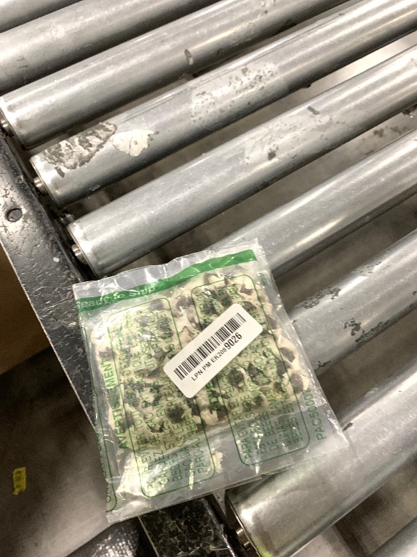 Photo 1 of 100+ Organic Moringa Seeds | Moringa Seeds for Planting Leaves, Powder, Pods & Flowers | Non-GMO Semillas de Moringa Seeds.