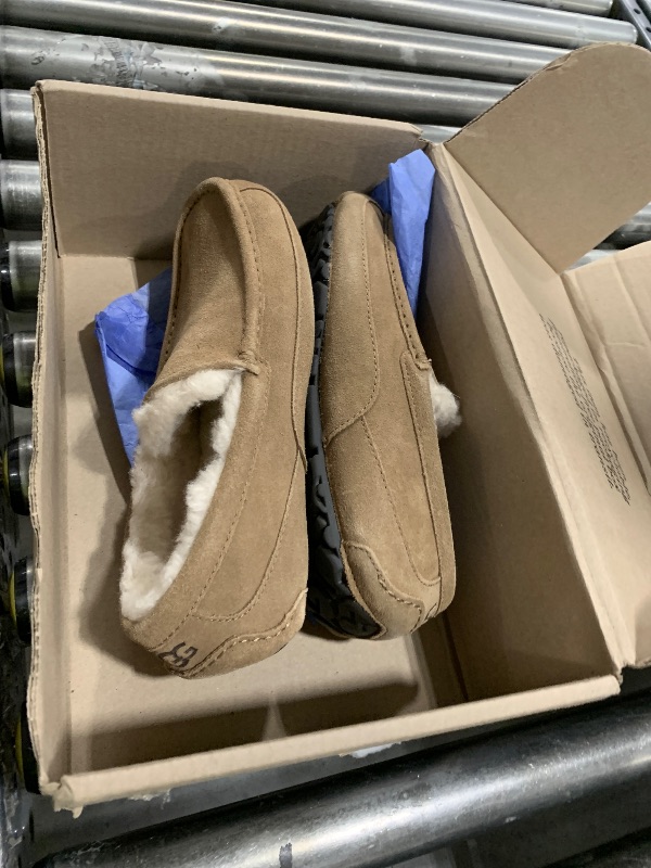 Photo 1 of UGG Men's Ascot Slipper, Chestnut, Size 10