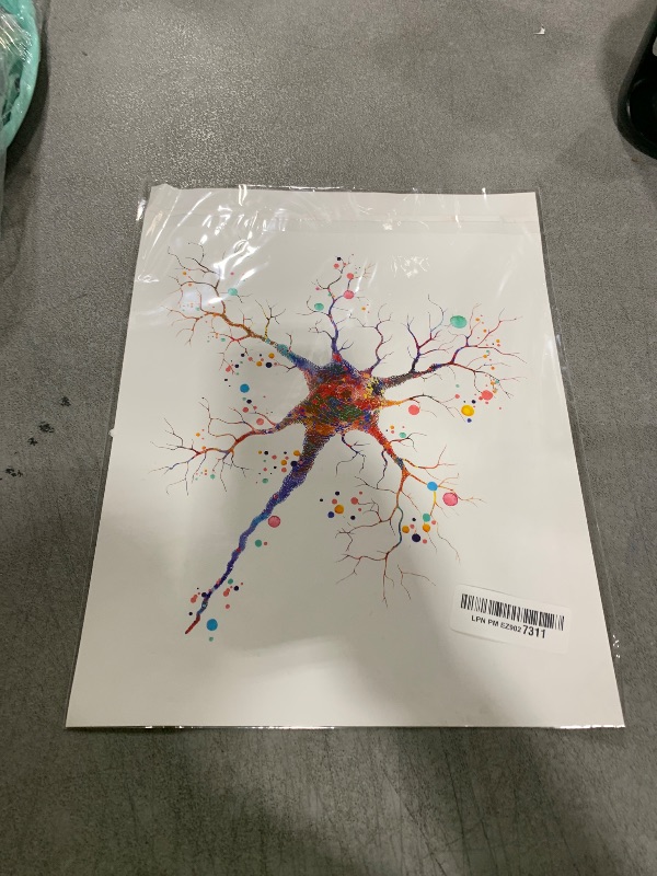 Photo 1 of Dignovel Studios 11X14 Unframed Neuron Structure Illustration Watercolor Art Print Cell Neurology Medical Science Art Clinic Wall Hanging Decor DN927
