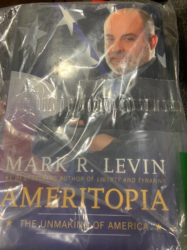 Photo 1 of Ameritopia