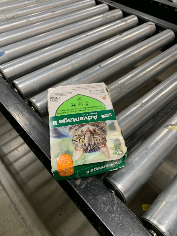Photo 1 of Advantage II Small Cat Vet-Recommended Flea Treatment & Prevention | Cats 5-9 lbs. | 6-Month Supply - 