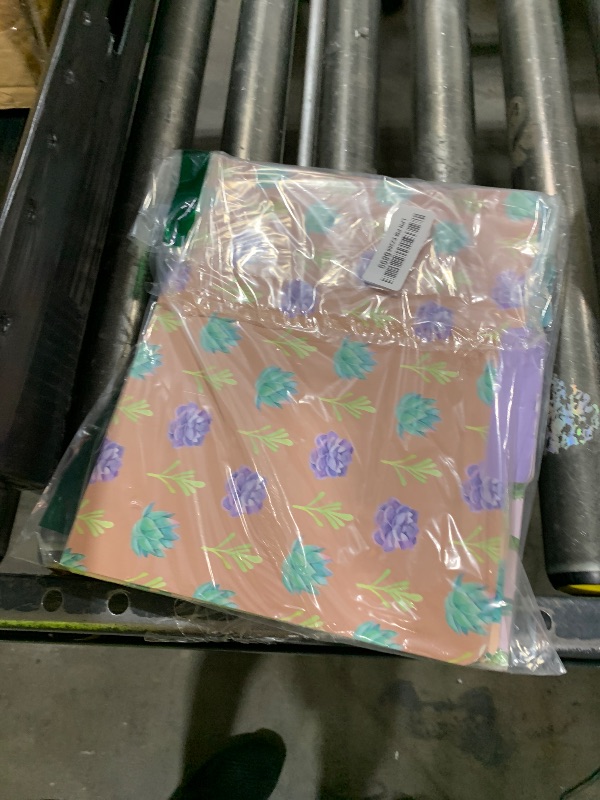Photo 1 of 12 Pack Succulent Decorative File Folders, 1/3 Cut Tab, Letter Size, 6 Cactus Designs (9.5 x 11.5 in)