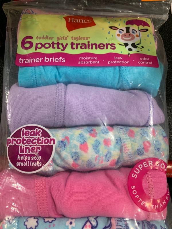 Photo 1 of Hanes Toddler Girls' Potty Trainer Briefs, 6-Pack, Assorted, 4/5