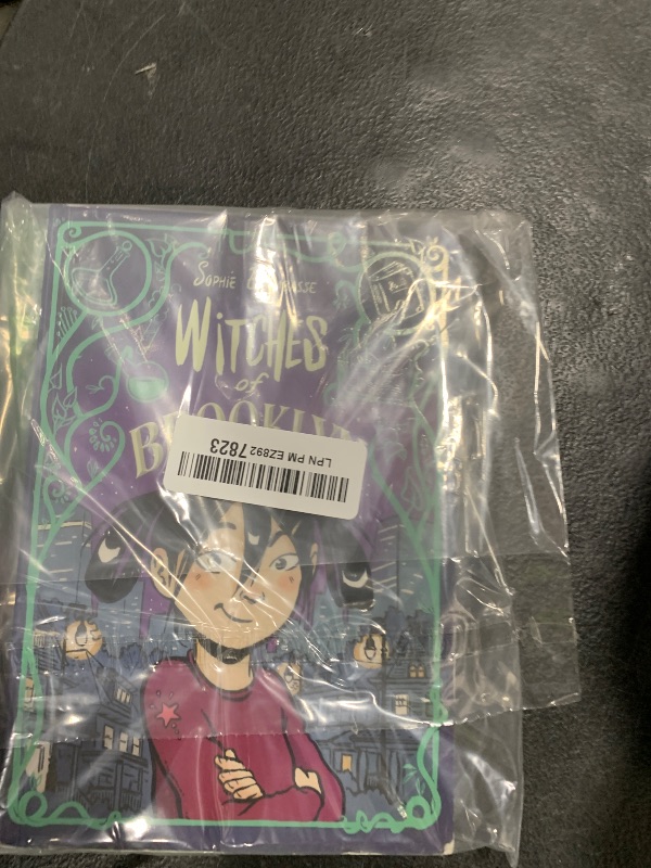 Photo 1 of Witches of Brooklyn: (A Graphic Novel) Paperback – September 1, 2020
by Sophie Escabasse (Author)