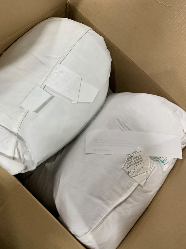 Photo 1 of Decroom Goose Feather Down Pillows Queen