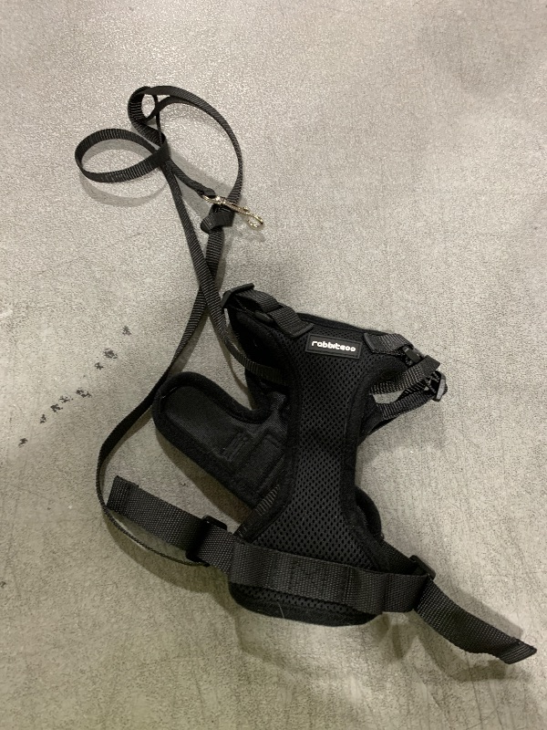 Photo 1 of Small Dog Leash and Harness