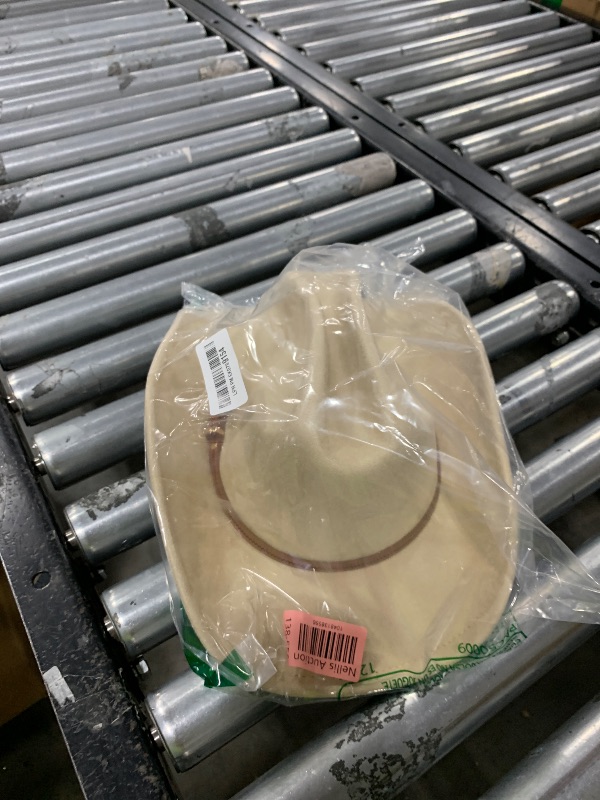 Photo 1 of Pro Celia Cowboy Hat for Women and Men Wide Brim Western Cowgirl Hat (US, Alpha, One Size, Beige)
