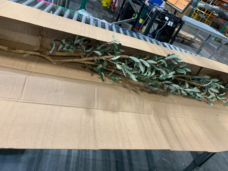 Photo 1 of ****SIMILAR ITEM*****Nearly Natural 82in Olive Artificial Silk Trees
