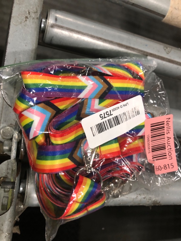 Photo 1 of 10 Pack! Express Your Pride with Our Colorful Rainbow Lanyards, Pride Badge ID Holder, Pride 2025