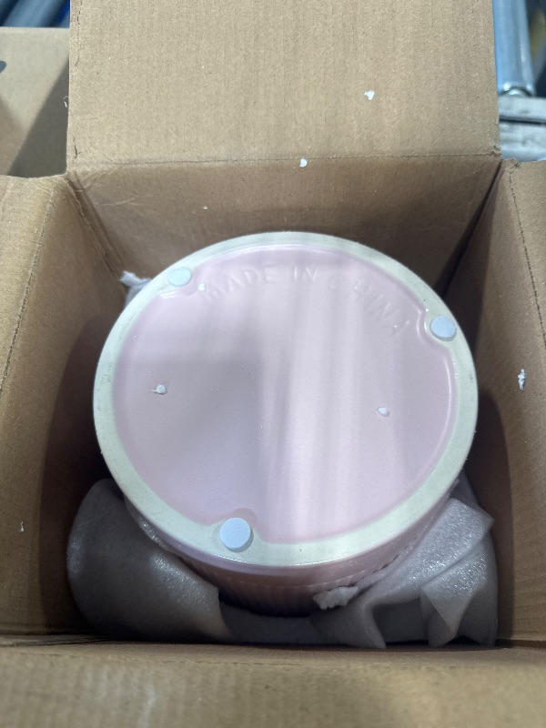 Photo 1 of ***CHIPPED TRAY***
LaDoVita SINGLE Ceramic Plant Pots 6/5/4 inch, Flowerpot for Indoor Plants with Drainage Holes and Tray, Outdoor Garden Planters, Modern Decorative for Home, Pink Vertical Stripes