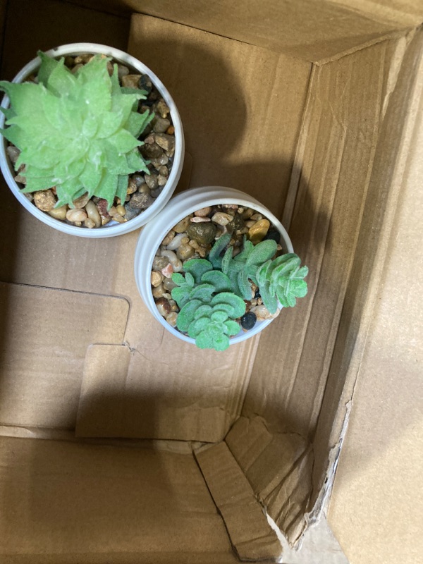 Photo 1 of *2 PIECES** Der Rose Set of 6 Succulents Plants Artificial in Pots Small Fake Plants for Bedroom Aesthetic Living Room Office Shelf Bathroom Decor