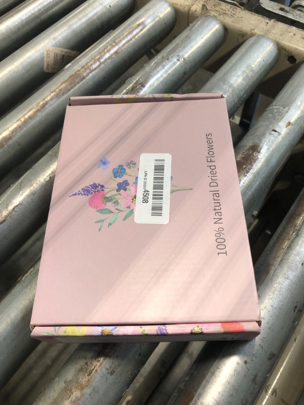 Photo 1 of 10 Pack Dried Flower Bouquets Mini Dried Flower with Stem Forget Me Not Dried Embossing Natural Flower Bundles Artificial Flower Dried Floral Arrangement for Vase DlY Wedding Decor (Forget Me Not)